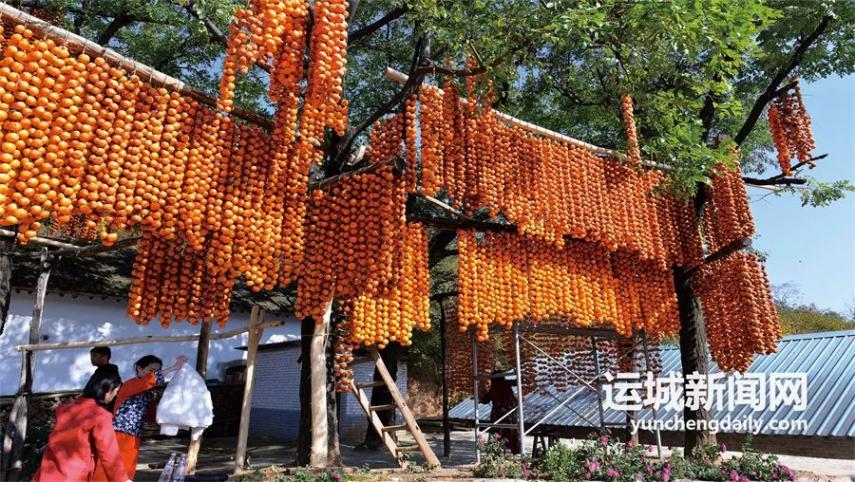 视觉|绚丽多姿 河东风光