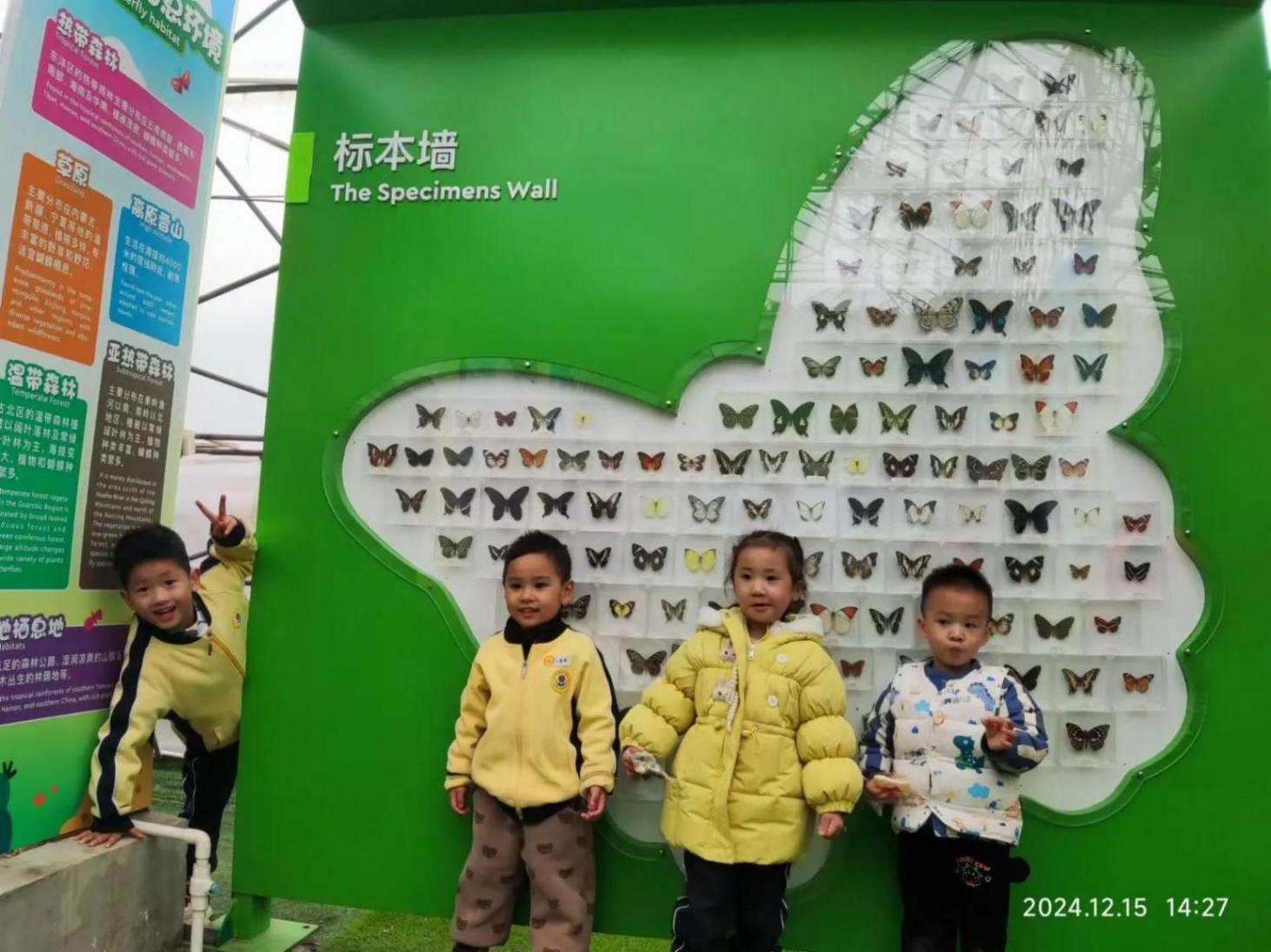 欢乐无限,成长无界——记幼儿园亲子活动