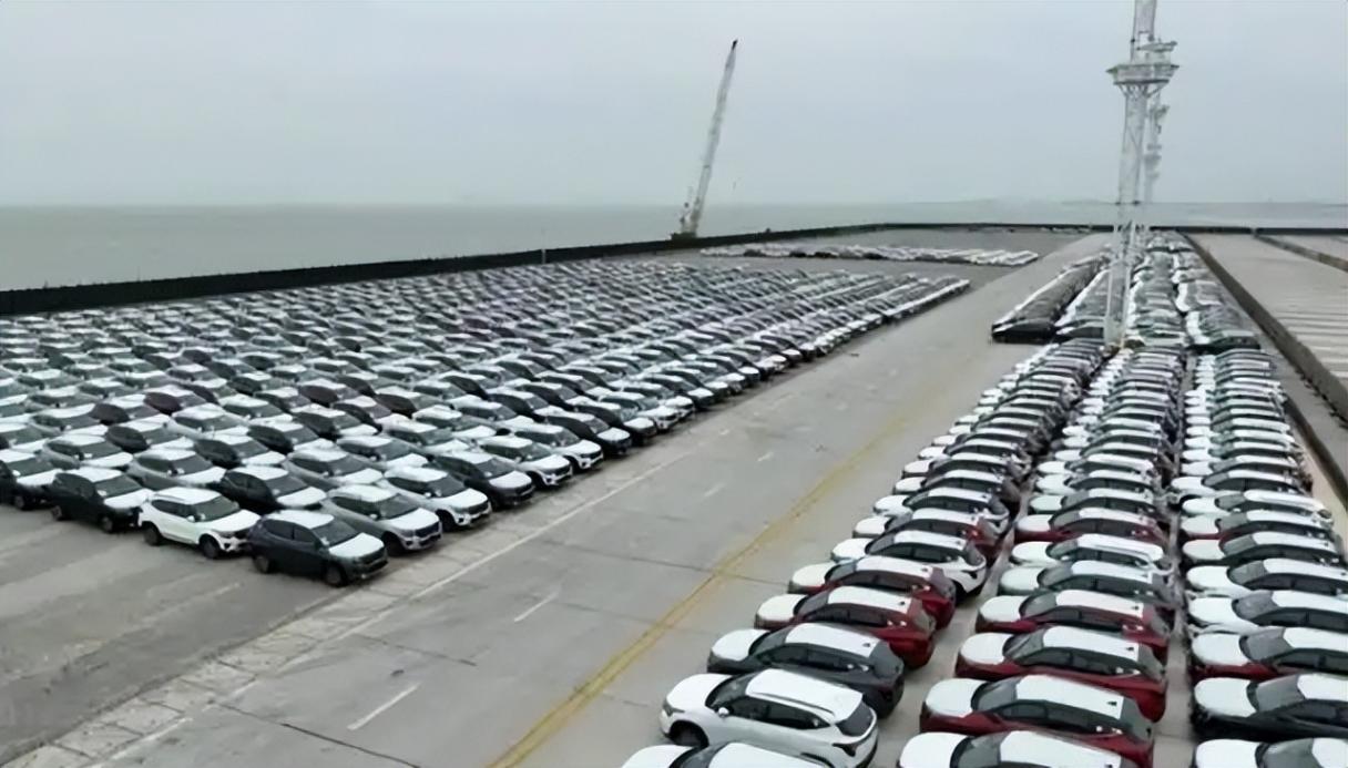 最聪明的外资品牌 立足中国 起亚增幅跑得最快