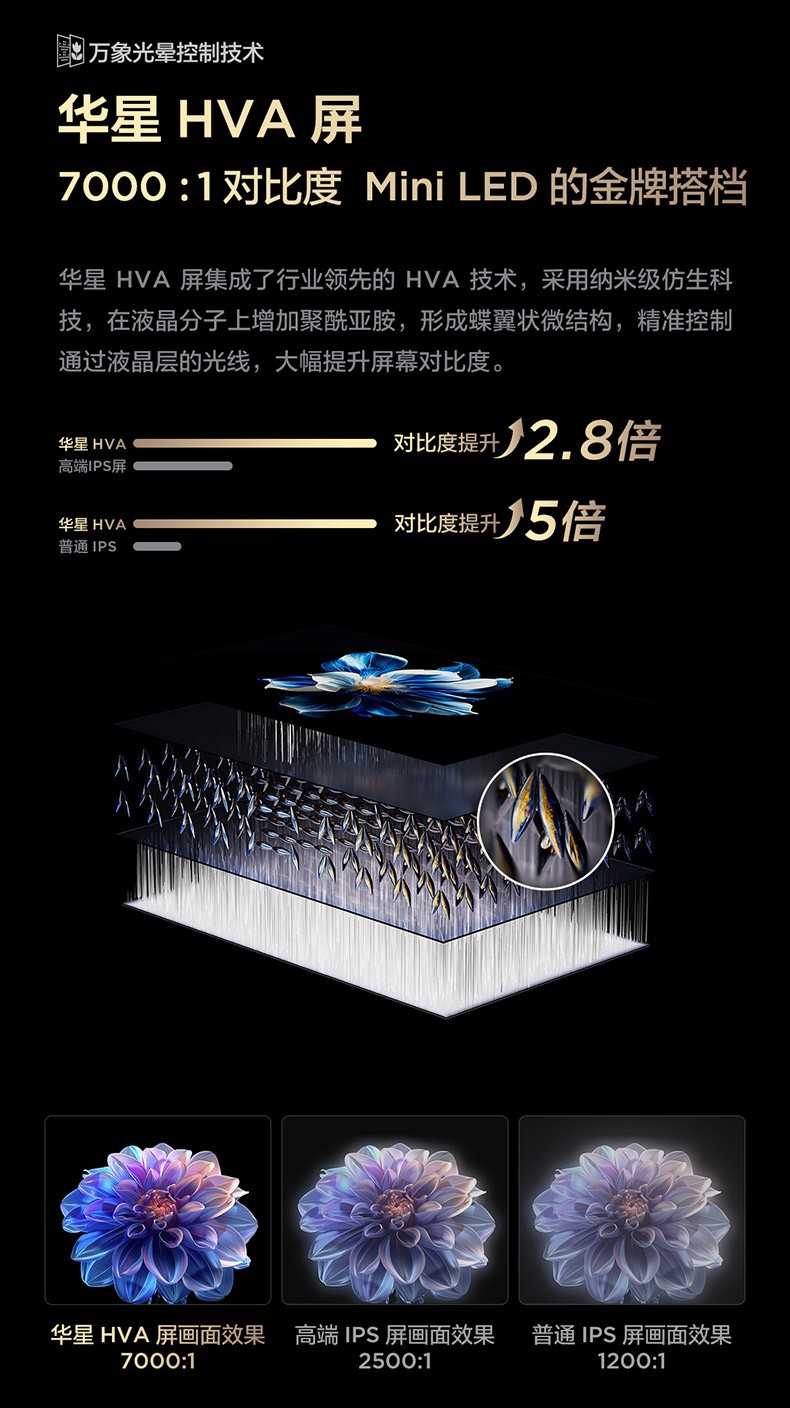 年轻人入门款Mini LED电视推荐,T6L\"屏\"实力俘获你!
