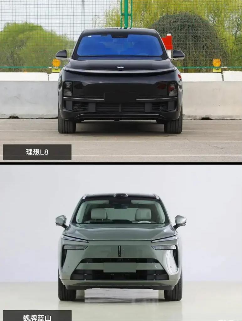 理想L8和魏牌蓝山,谁更适合家用?看完对比你就明白了