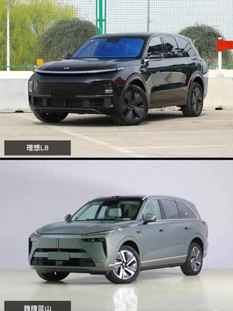 理想L8和魏牌蓝山,谁更适合家用?看完对比你就明白了