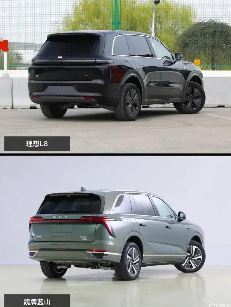 理想L8和魏牌蓝山,谁更适合家用?看完对比你就明白了