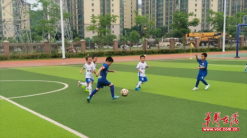 天易金霞小学:绿茵“雏凤”展锋芒 荣耀背后共担当